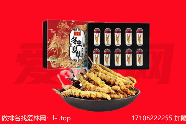 莆田涵江区回收虫草.jpg